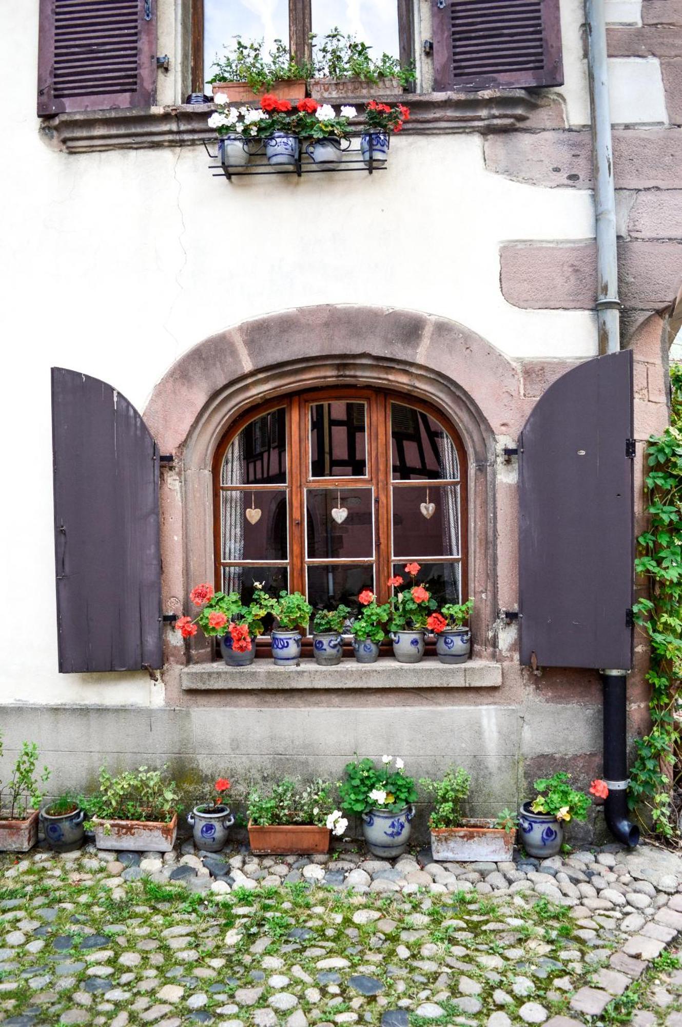 Chaud'Vin Kaysersberg-Vignoble Exterior foto
