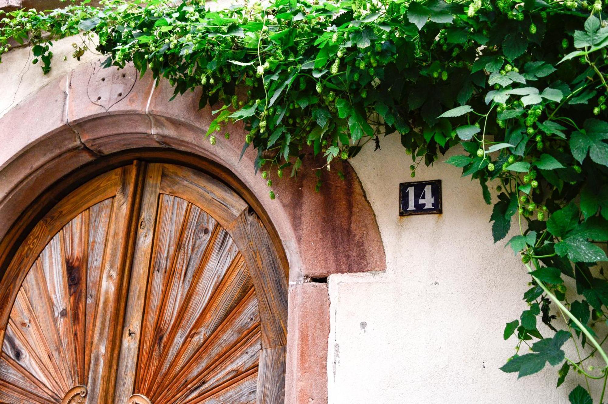 Chaud'Vin Kaysersberg-Vignoble Exterior foto