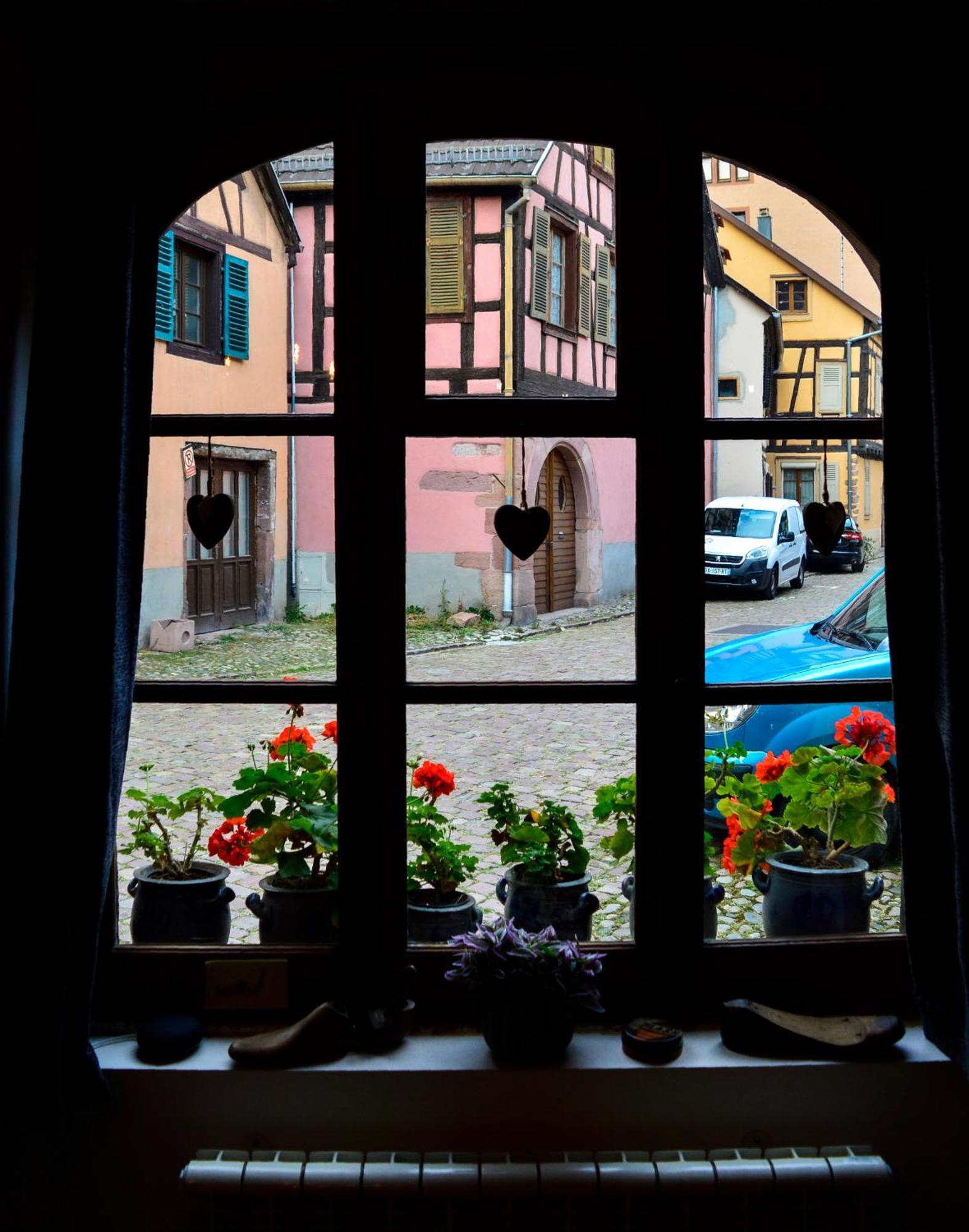 Chaud'Vin Kaysersberg-Vignoble Exterior foto